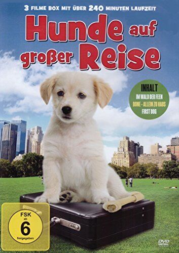 Lawson, Joseph J. - Hunde auf großer Reise (Im Wald der Feen - Bone Allein zu Haus - First Dog) - Preis vom 04.10.2026 03:51:26 h