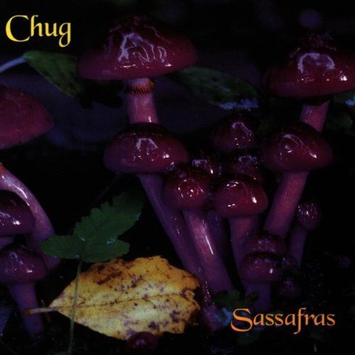 Chug - Sassafras - Preis vom 30.09.2026 09:01:18 h