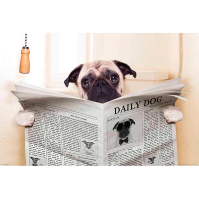 Fototapete PAPERMOON "Newspaper Dog", bunt, B:2,5m L:1,86m, Vlies, Tapeten