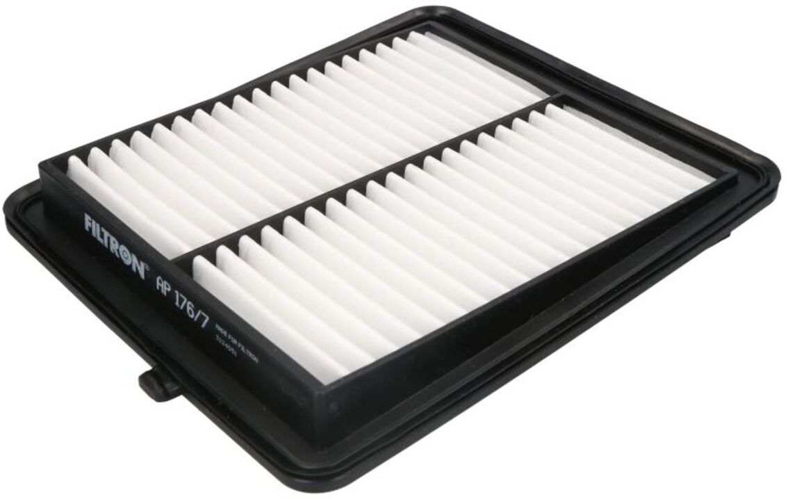 Luftfilter FILTRON AP 176/7