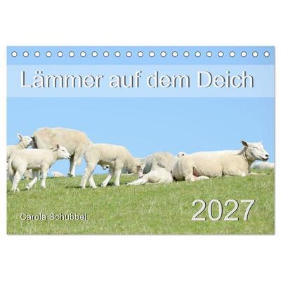 Lämmer auf dem Deich (Tischkalender 2027 DIN A5 quer), CALVENDO Monatskalender
