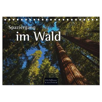 Spaziergang im Wald (Tischkalender 2026 DIN A5 quer), CALVENDO Monatskalender