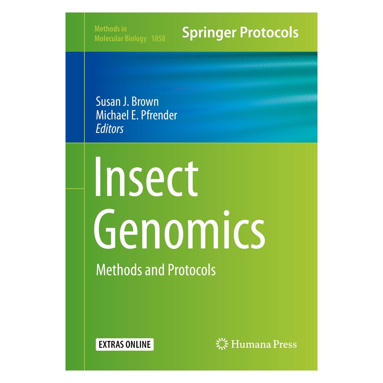 Springer Insect Genomics (Englisch, Hardcover, Michael E. Pfrender, Susan J. Brown) (9781493987740)