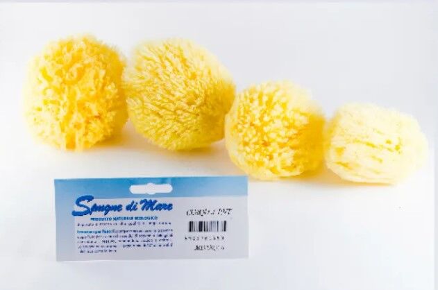 Spugna Mare Naturale XL misura 12