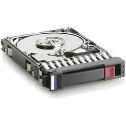 HPE Enterprise Festplatte (0.30 TB, 2.5"), Festplatte