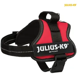Julius-K9 Powergeschirr für kleinere Hunde ergonomisch (S, Hund, Allgemein), Halsband + Leine