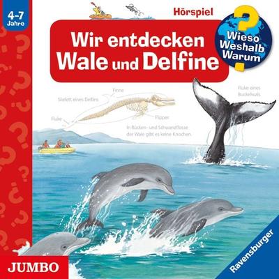 Wir entdecken Wale und Delfine [Wieso? Weshalb? Warum? Folge 41] - Doris Rübel, Audio, 4057664889294