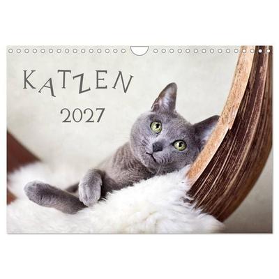 Katzen 2027 (Wandkalender 2027 DIN A4 quer), CALVENDO Monatskalender