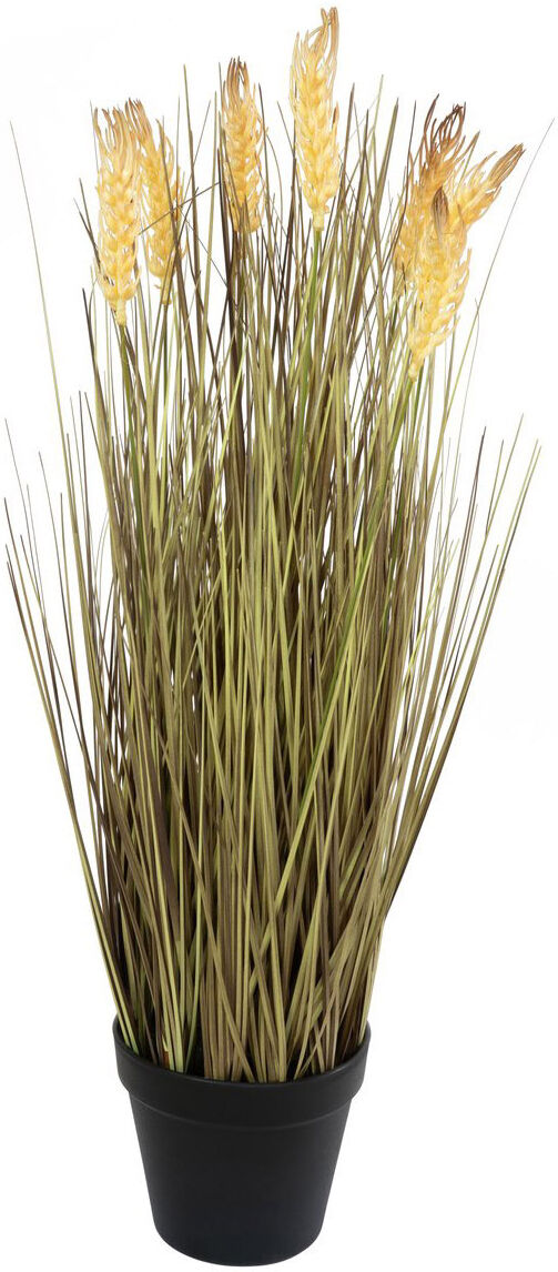 Europalms Weizen Erntereif 60cm
