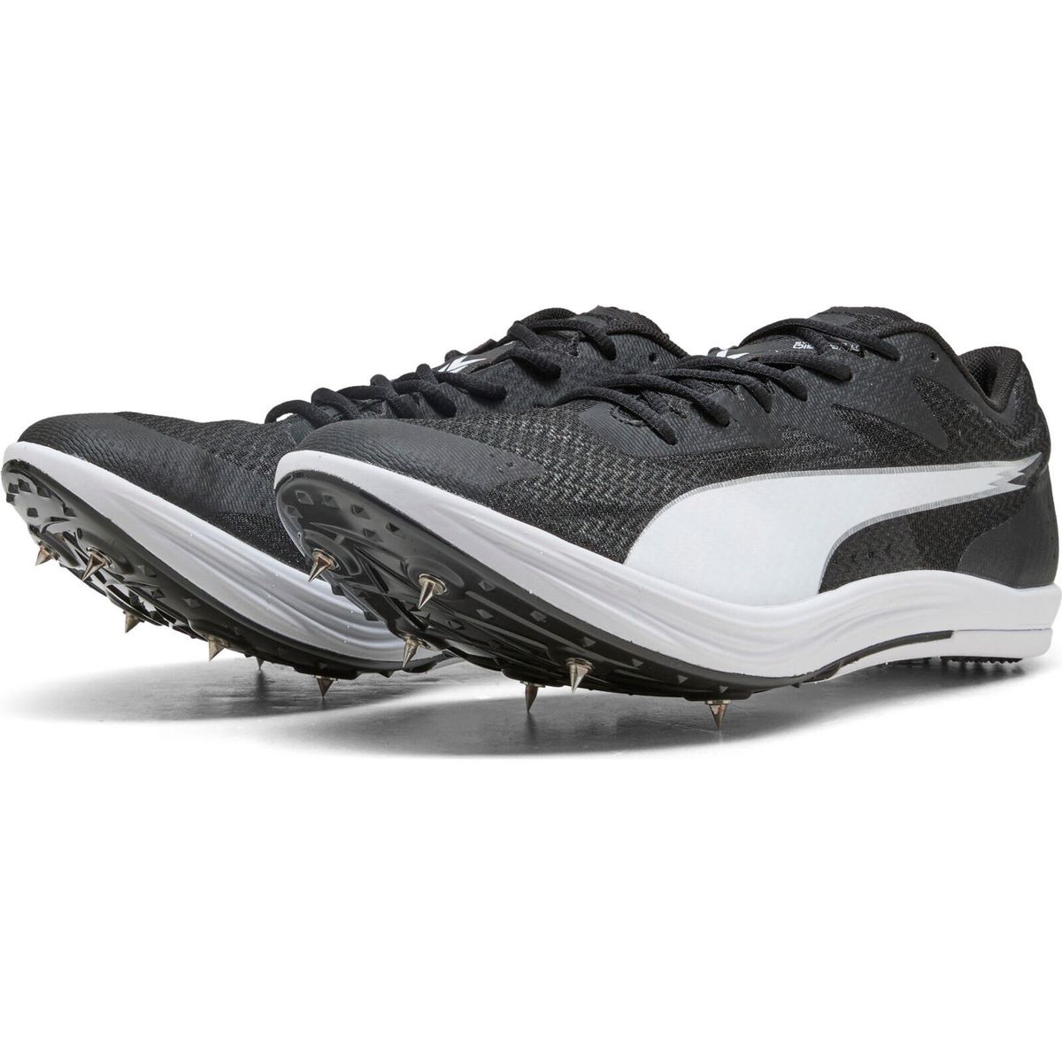 Puma Evospeed Long Distance puma black-puma white (02) 12 312857-02-12
