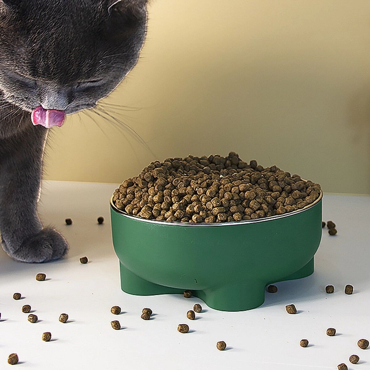 INF Edelstahl Erhöhte Haustier-Futterschüssel - Abnehmbar, Rutschfest, Leicht zu Reinigen, Mehrere Farben Grün