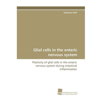 Glial cells in the enteric nervous system, Taschenbuch von Sebastian Hoff, Südwestdeutscher Verlag für Hochschulschriften, 978-3-8381-0725-7