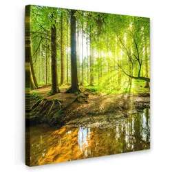 LEINWANDBILD Wald - Landschaft - Wasser - Bäume - Sonne - Grün - Natur Deko Wohnzimmer 20x20 cm