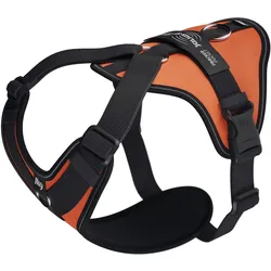 Julius-K9 K9 Longwalk light sele w/trackerpocket,UV Orange,L (L, Hund, Hundesport), Halsband + Leine