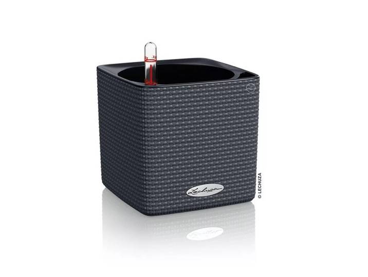 Lechuza - CUBE Color all-in-one, 14cm, Anthrazit