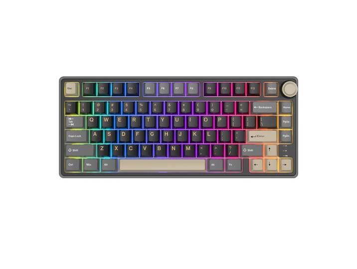 RK ROYAL KLUDGE R75 bedraad gamingtoetsenbord met volumeknop, 75% mechanisch gamingtoetsenbord met custom gasket mount en Cherry Profile PBT-toetsen, hot-swappable K Silver-schakelaar, Phantom-kleur