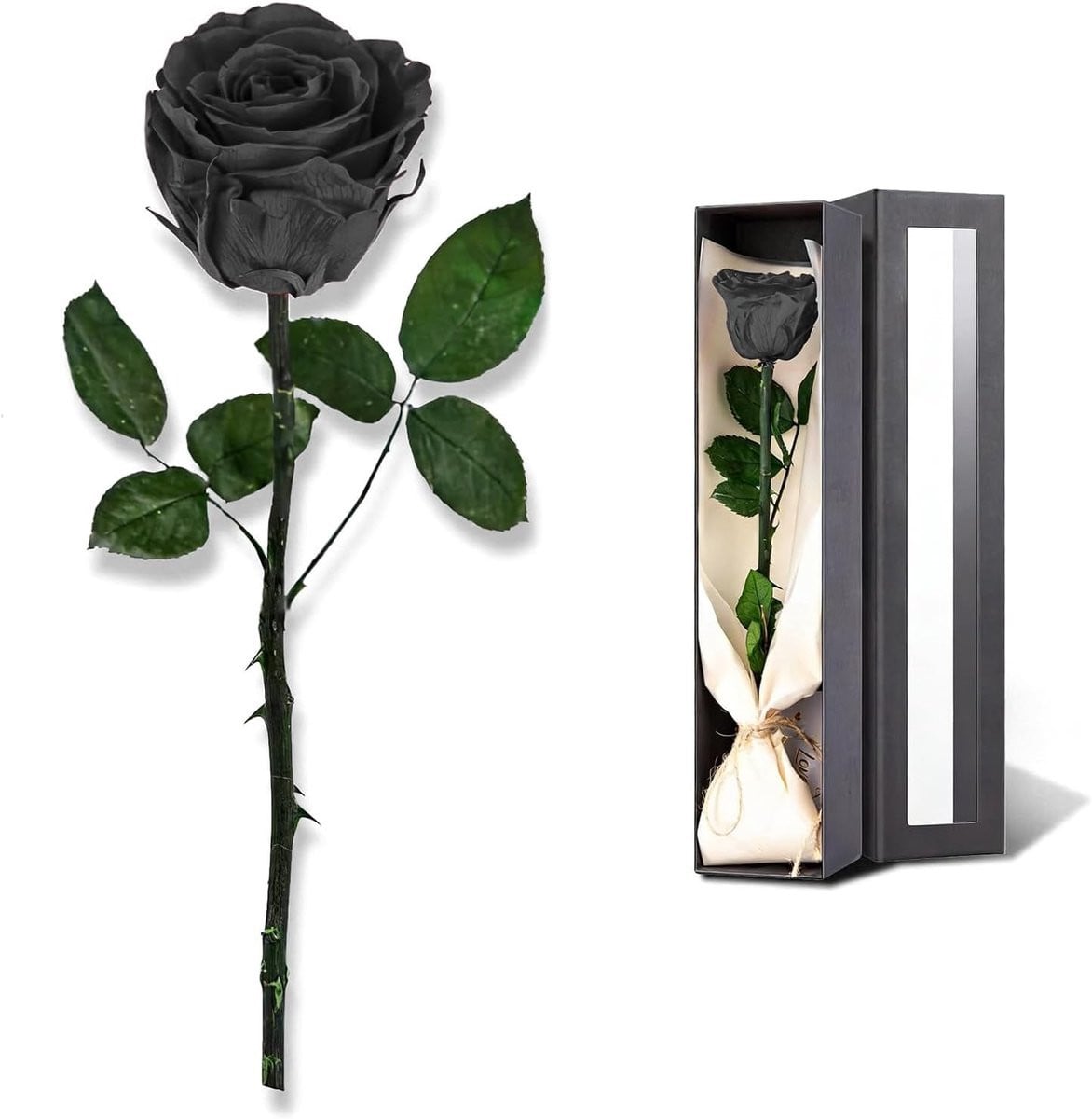 Zwarte Bewaarde Roos in Elegante Cadeaubox