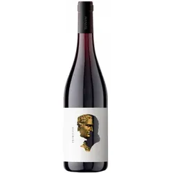 Otre Primitivo 2024 -  Cantine Teanum