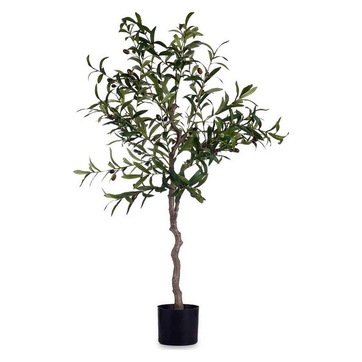Ibergarden Topfpflanze Olivenbaum 150cm (150 cm) (44994447)