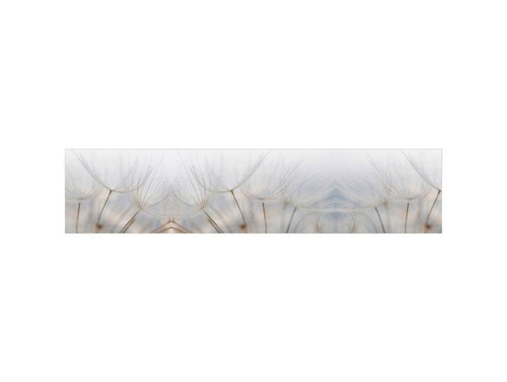 Fani Küchenrückwand Smart - Glas, Beigebraun, Metall, Kunststoff, Blume, 240x53.7x0.6 cm, mit Dekor, Spritzschutz, individuell zuschneidbar, Echtglas-Optik, Küchen, Küchenausstattung, Küchenrückwände
