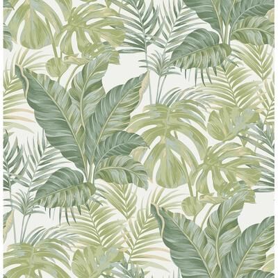 NuWallpaper Madagascar Peel & Stick Wallpaper - 216in x 20.5in x 0.025in