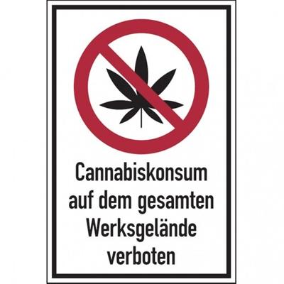 König Werbeanlagen Dreifke® Verbotsschild, Cannabiskonsum auf dem gesamten Werksg - 200x300x2 mm Aluverbund