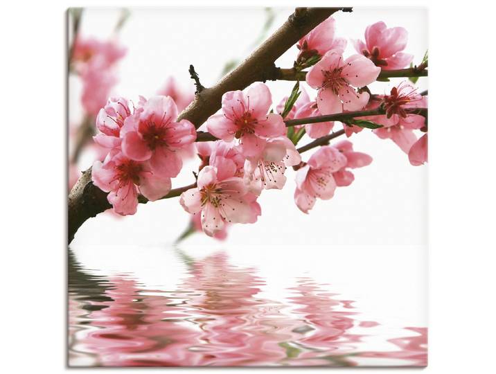 Leinwandbild ARTLAND Pfirsichblüten reflektieren im Wasser , pink (farbe bild(er): pink), B:30cm H:30cm, Bilder, Leinwandbild, auf Holzrahmen gespannt