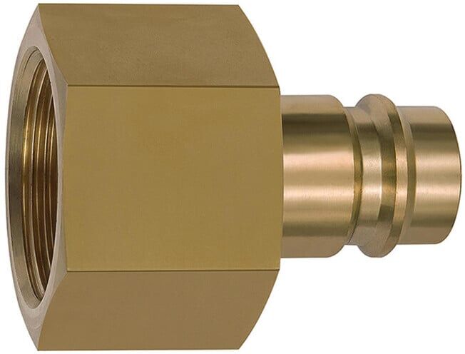 Riegler Raccords pour raccords NW 19, laiton naturel, G 1 IG (419.55)