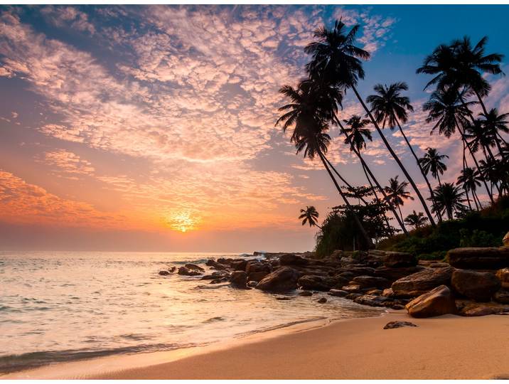 Fototapete PAPERMOON Palm Beach Sri Lanka , bunt, B:2m L:1,49m, Vlies, Tapeten, Fototapete