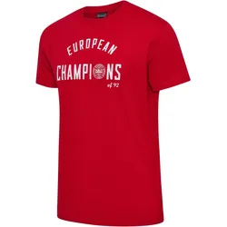 hummel DBU Dänemark 24 EM Champions Fan-Shirt 3365 - tango red L