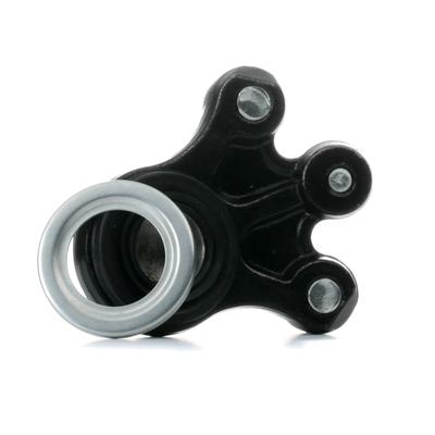 REINHOCH Traggelenk PEUGEOT,CITROËN RH03-2038 364058,364072