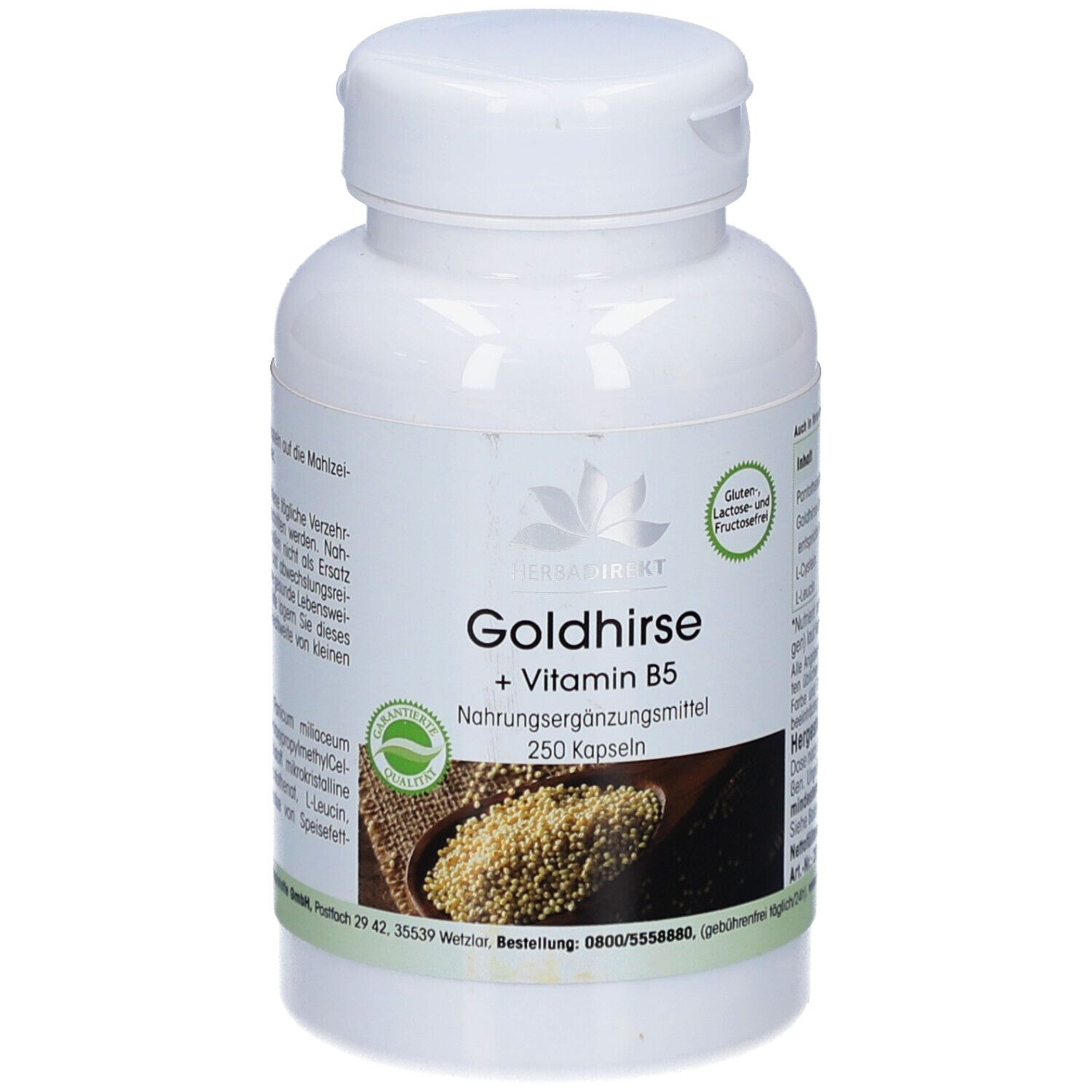 GOLDHIRSE+Vitamin B5 Kapseln 250 St