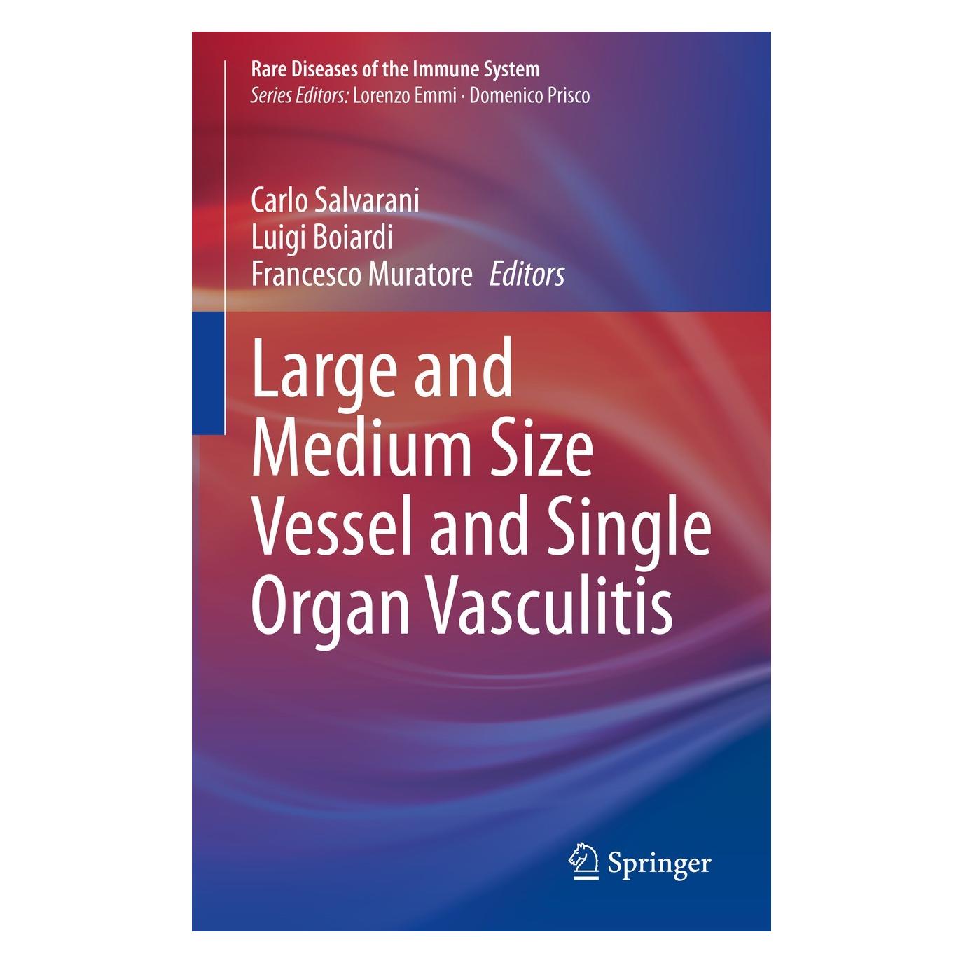 Springer Large and Medium Size Vessel and Single (Englisch, Hardcover, Carlo Salvarani, Francesco Muratore, Luigi Boiardi) (9783030671747)