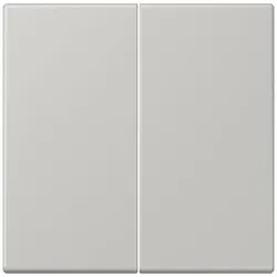 Jung Wippe 2fach LC 995 205