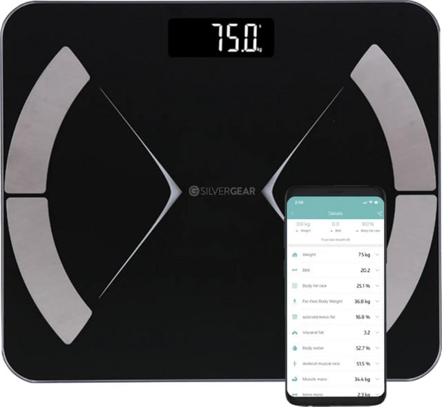 Silvergear Bluetooth Speaker Zwart