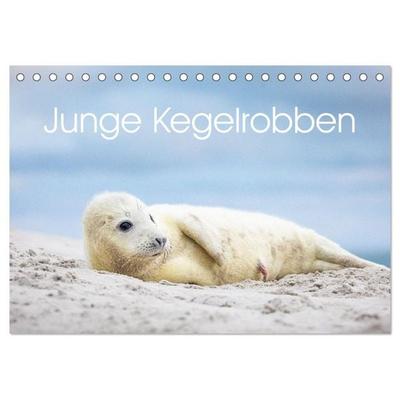 Junge Kegelrobben (Tischkalender 2026 DIN A5 quer), CALVENDO Monatskalender