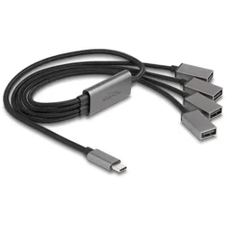 DELOCK 4 Port USB 2.0 Kabel-Hub USB Type-C Anschluss 60cm