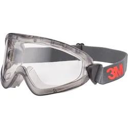 3M Deutschland Vollsichtbrille 2890 2891S-SG
