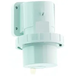 Bals Elektrotech. Aufbau-Gerätestecker 2660