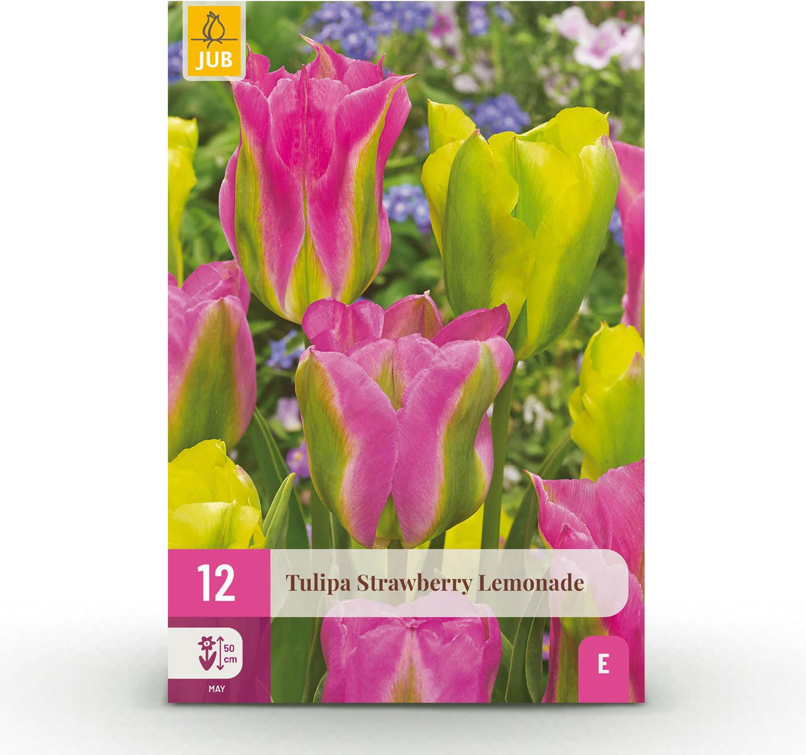 Bolmaat Tulp Strawberry Lemonade bloembollen - 12 stuks - Diverse kleuren