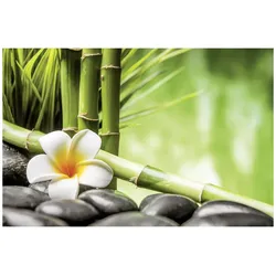 Weitere, Bilder, KE 116x76 Bambus Zen (116 x 76 cm)