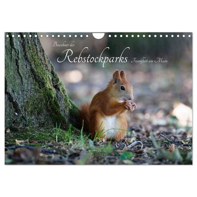 Bewohner des Rebstockparks Frankfurt am Main (Wandkalender 2026 DIN A4 quer), CALVENDO Monatskalender