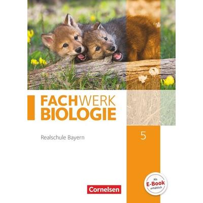 Fachwerk Biologie - Realschule Bayern - 5. Jahrgangsstufe, Gebundene Ausgabe von Matthias Niedermeier,Josef Johannes Zitzmann,Matthias Ritter,Ulrike