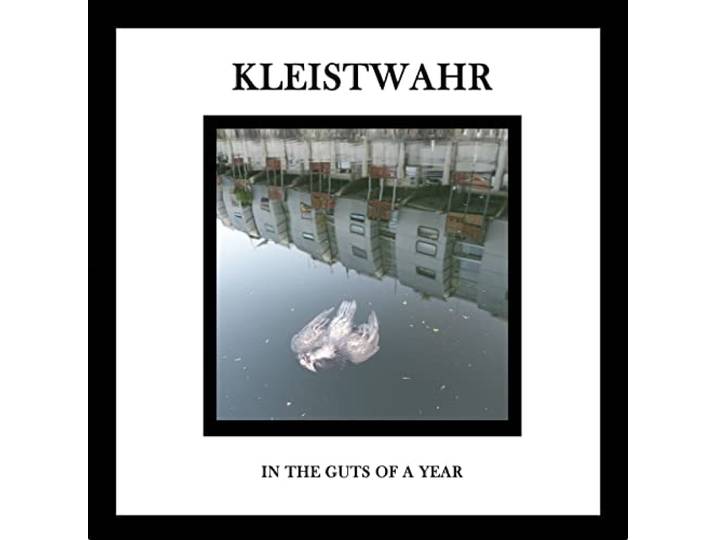 In the Guts of a Year