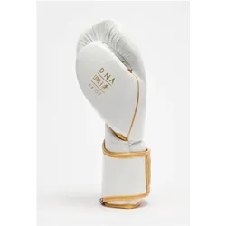 Leone, Boxhandschuhe, (16 OZ)