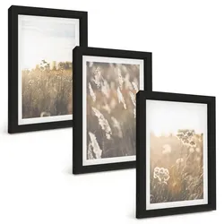 BILDER SET 3er Set - 20x30 cm Schwarzer Rahmen - Landschaftsgrasblumen Wärme