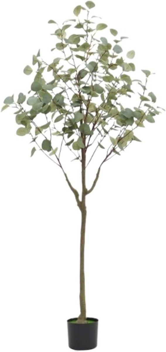 Kunstboom Eucalyptus Groen - 150 cm