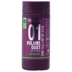 Salerm Cosmetics 01 Volume Dust Matifying Powder 10g