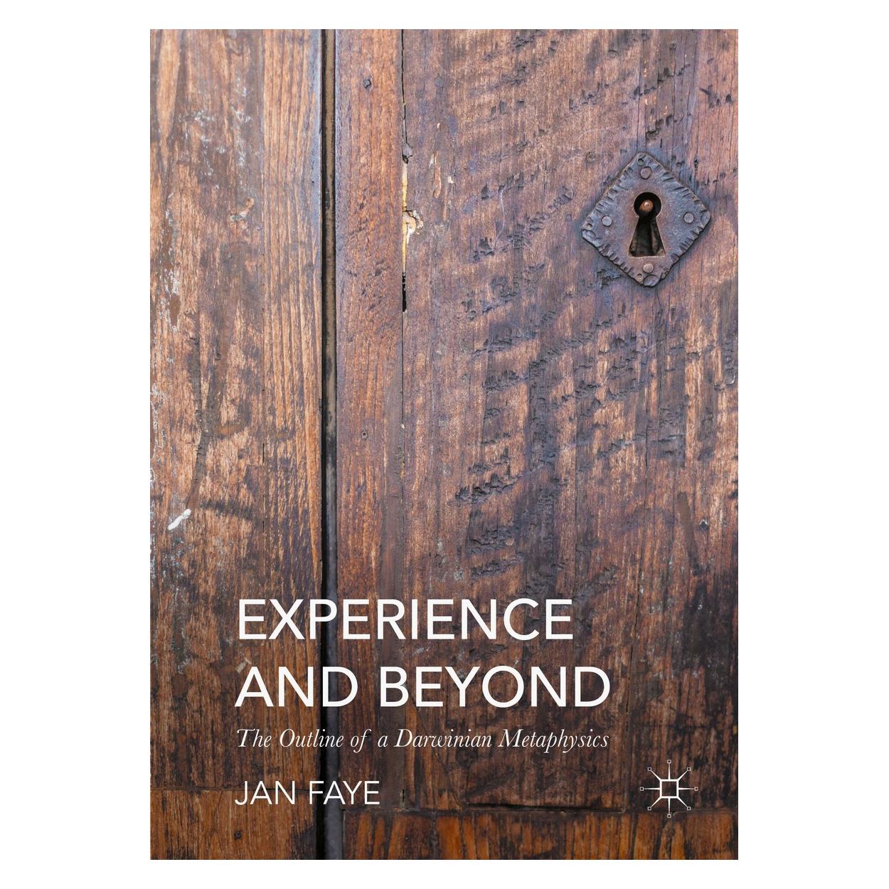 Springer Faye:Experience and Beyond (Englisch, Hardcover, Jan Faye) (9783319310763)
