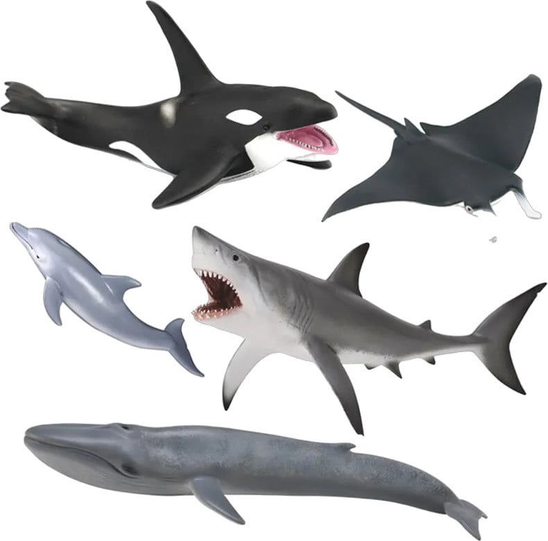 Collecta Set van 5 handgeschilderde zeedier figuurtjes
